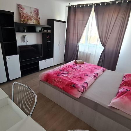 Apartamento Garsoniera 30Mp Chrysflatty1 - Free Netflix Arad Exterior foto