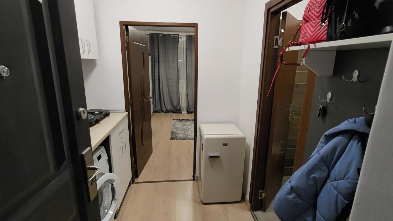 Apartamento Garsoniera 30Mp Chrysflatty1 - Free Netflix Arad Exterior foto