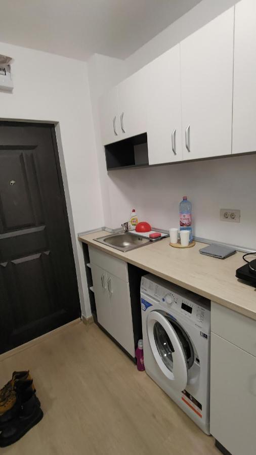 Apartamento Garsoniera 30Mp Chrysflatty1 - Free Netflix Arad Exterior foto