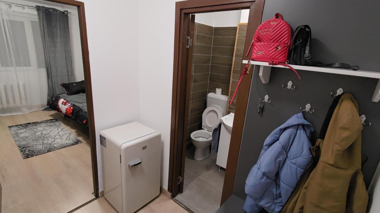 Apartamento Garsoniera 30Mp Chrysflatty1 - Free Netflix Arad Exterior foto