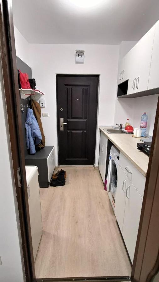 Apartamento Garsoniera 30Mp Chrysflatty1 - Free Netflix Arad Exterior foto