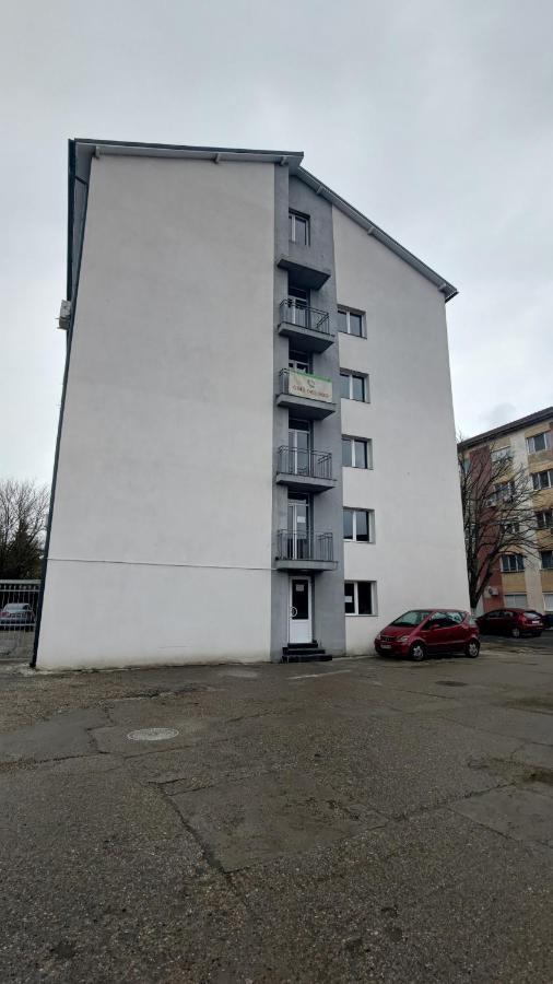Apartamento Garsoniera 30Mp Chrysflatty1 - Free Netflix Arad Exterior foto