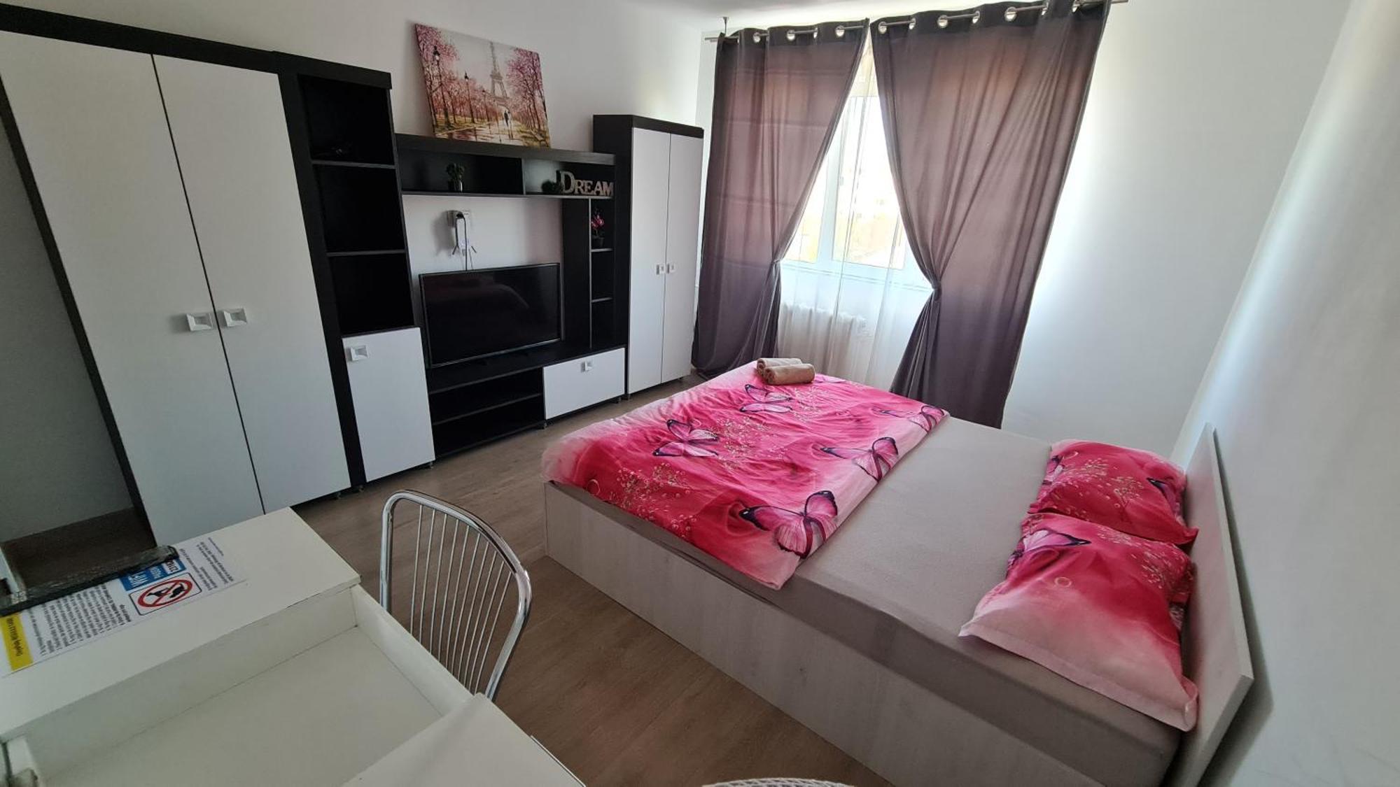 Apartamento Garsoniera 30Mp Chrysflatty1 - Free Netflix Arad Exterior foto
